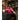 PSV Eindhoven 1995/96 Home Jersey image 3