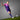 Germany 2024 Away Jersey image 6