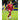 Poland 2026 Away Jersey image 7