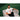 Lille LOSC 2025/26 Away Jersey image 5