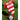 Granada CF 2024/25 Home Jersey image 6