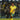 South Africa 2026 Home Jersey image 11