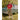 FC Köln 2025/26 Away Jersey image 7