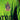 Fulham FC 2025/26 Away Jersey image 3
