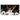 Real Madrid CF 2010/11 Domicile image 8